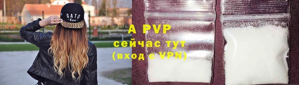 гидра Балахна