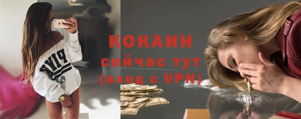 индика Балабаново