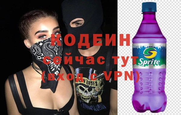 индика Балабаново