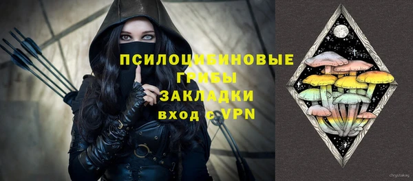 индика Балабаново