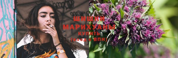 индика Балабаново